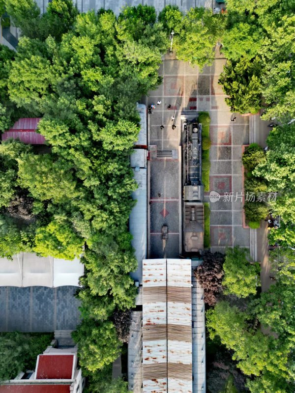 山东建筑大学小火车