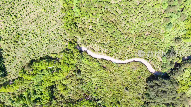 盘山公路