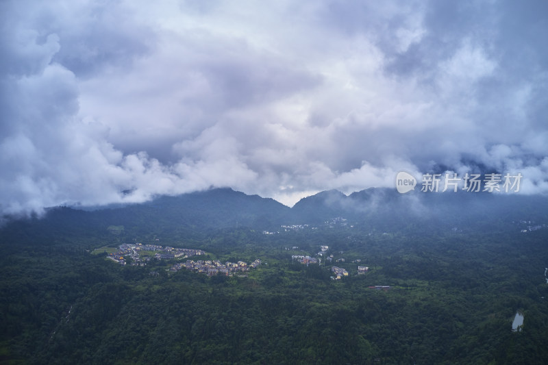 峨眉山的原始森林