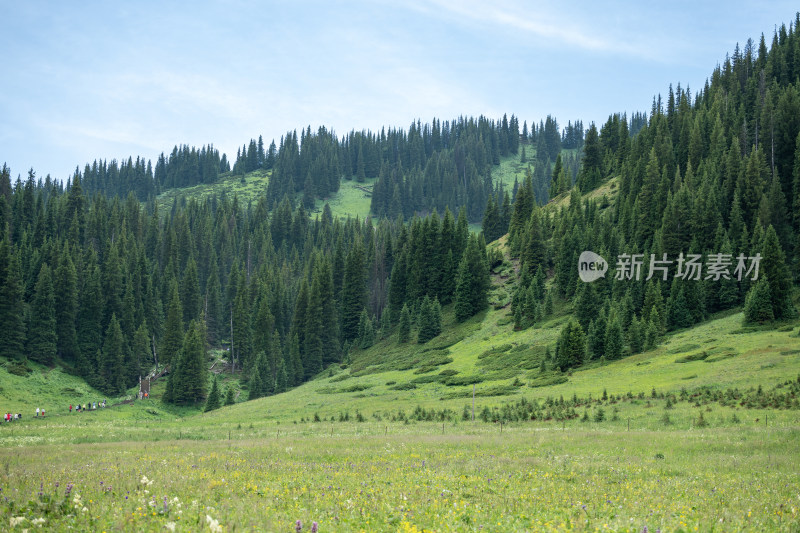 新疆博尔塔拉赛里木湖景区