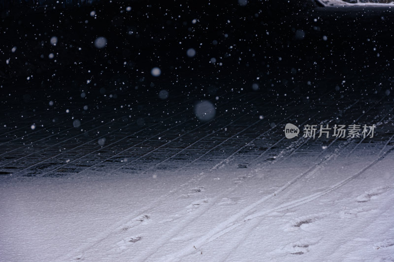 下雪的公园特写景观