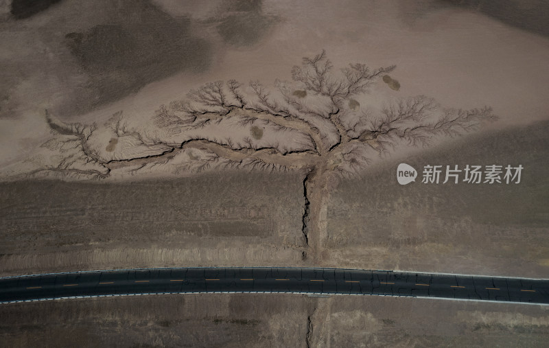 西藏317国道旁流水冲刷自然形成的大地之树