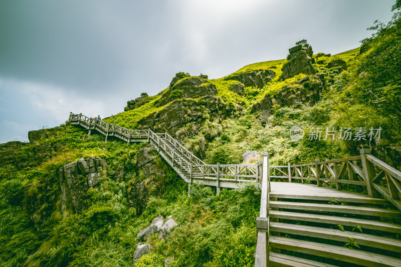 翠绿的高山