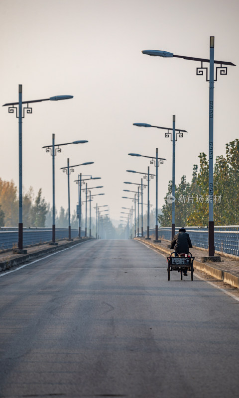 道路上整齐排列的中式路灯