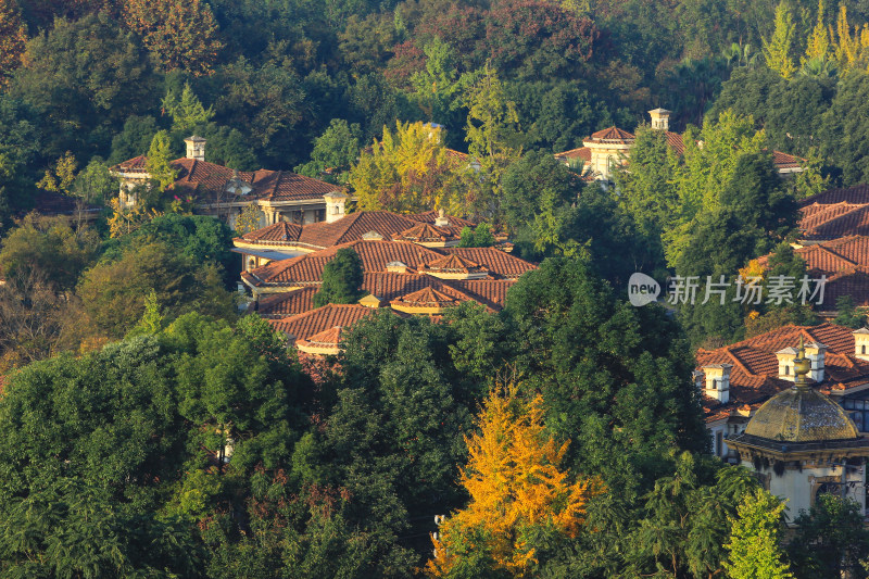 冬日暖阳下的成都温江建筑风光