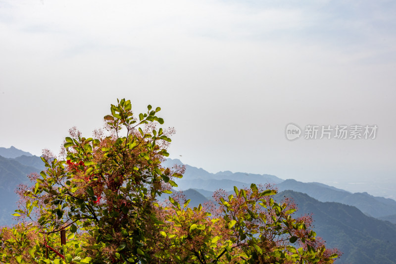 西安秦岭终南山南五台自然风光景点景观