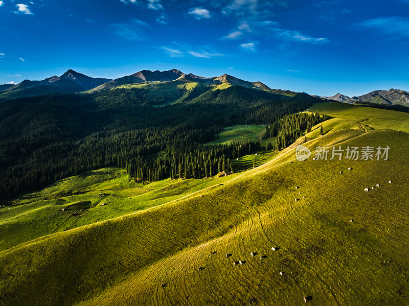 琼库什台草原的早晨