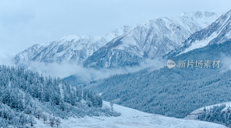 青海祁连卓尔山树林自然唯美雪景风光