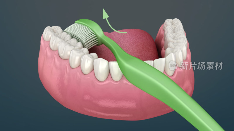 口腔医学牙齿健康口腔卫生牙齿插图刷牙