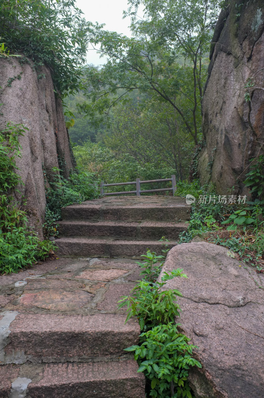 山间登山道