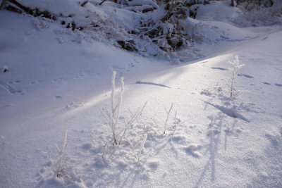 林海雪原冰雪风光