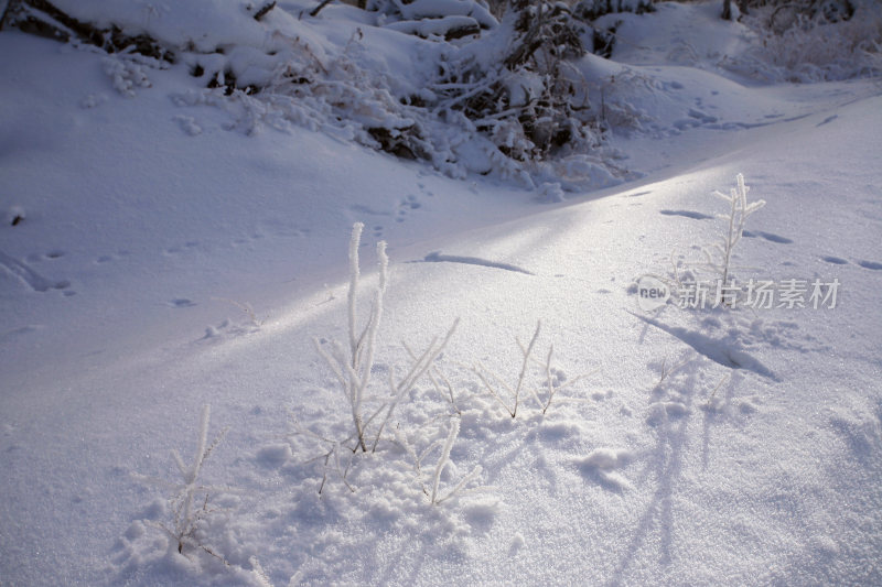 林海雪原冰雪风光