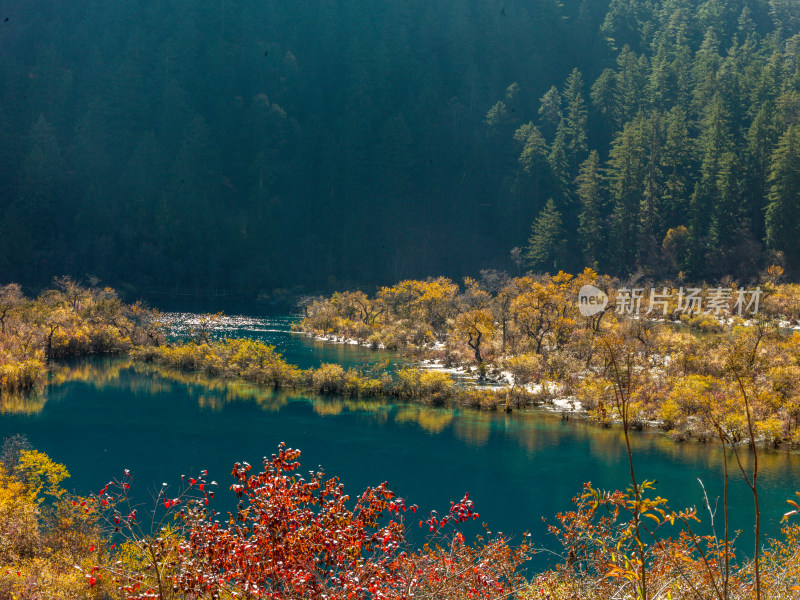 九寨沟秋景