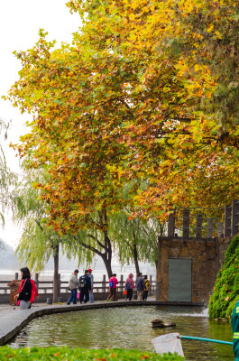 中国河南洛阳龙门石窟的秋天