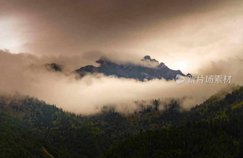 云雾中的森林山峰虎头山