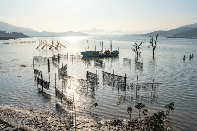 福建宁德霞浦县城红树林湿地涂滩海边景观