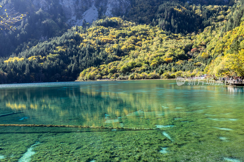 九寨沟五花海