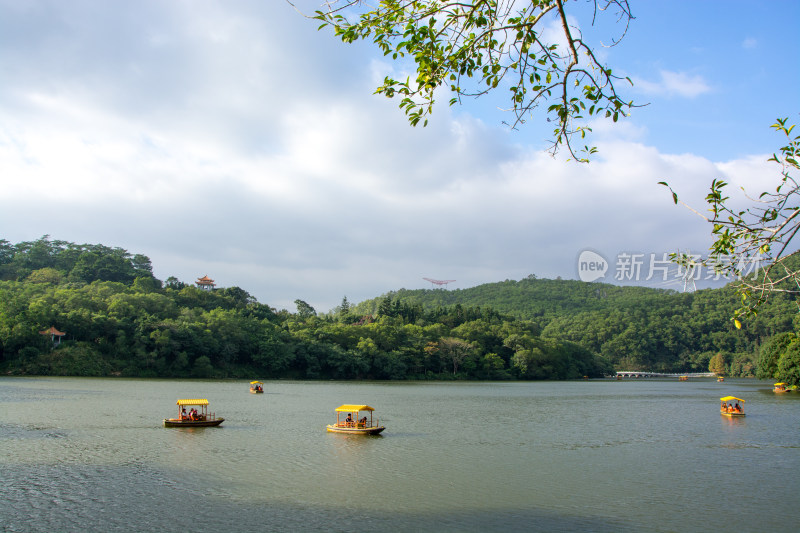 深圳仙湖植物园