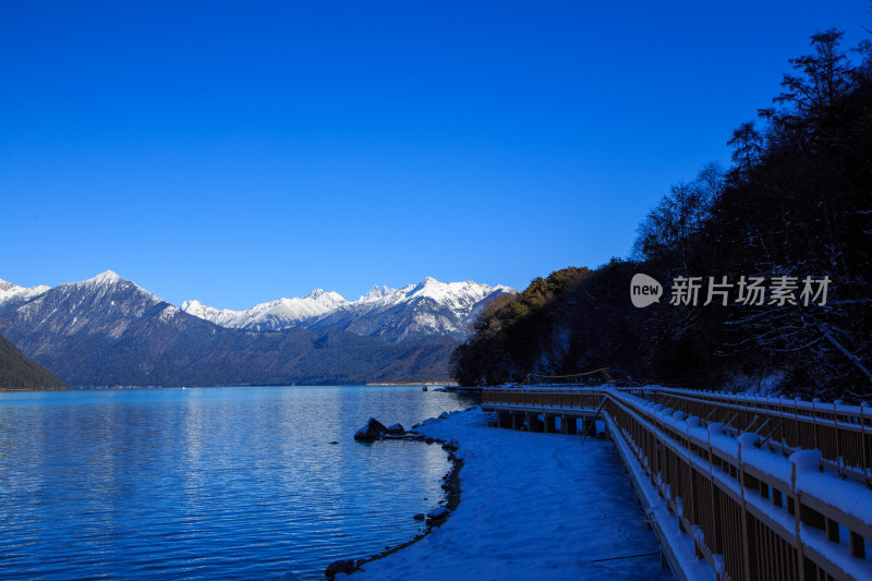 中国西藏林芝市巴松措景区雪山森林湖泊风光