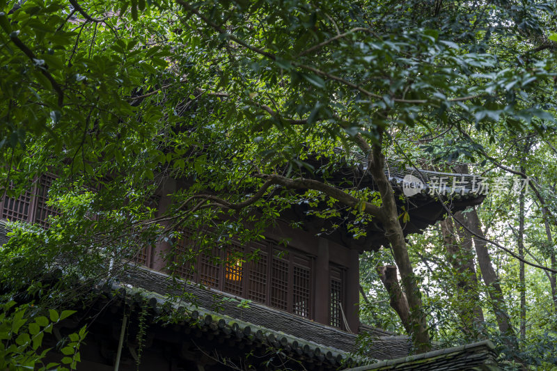 杭州三台山慧因高丽寺风景