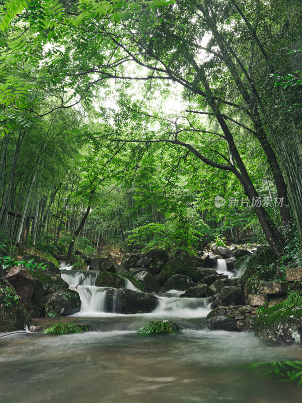 雨季安吉山间竹林水流瀑布