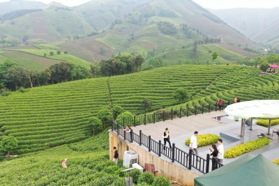 美丽乡村浙江安吉茶园风景