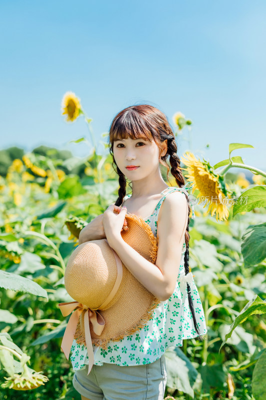 在向日葵花田的少女