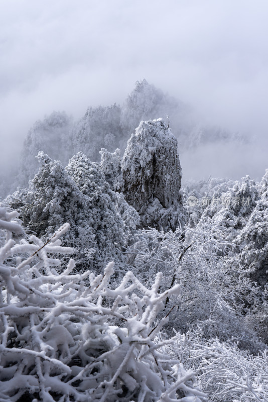 寒冷冬季大雪冰冻雾凇