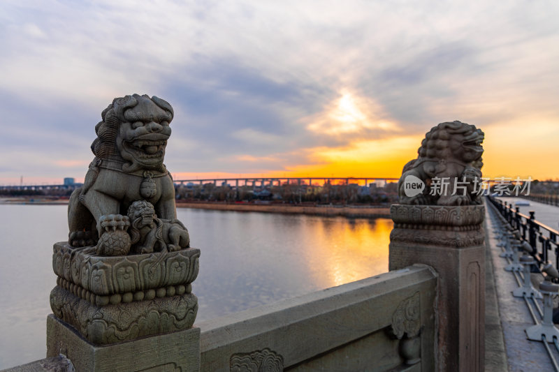 夕阳下的北京卢沟桥石狮子