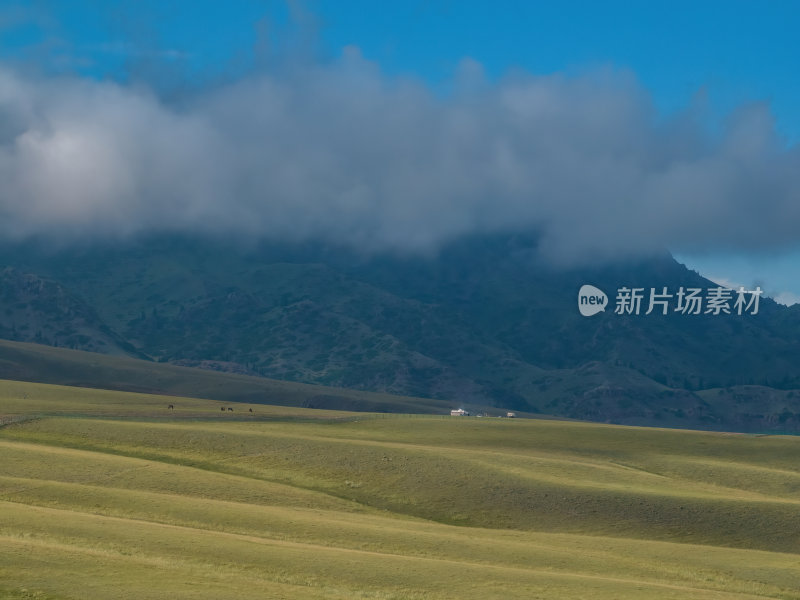 新疆伊犁夏季赛里木湖草原高空航拍