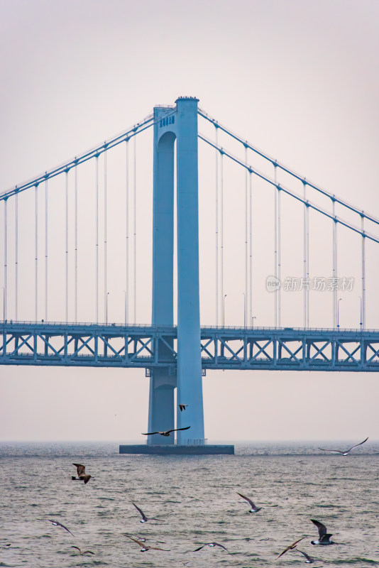 海上斜拉式大桥远景全景