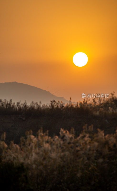 日落时分远山与植物景观