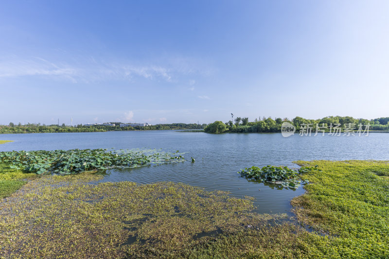 武汉东湖风景区景点风光