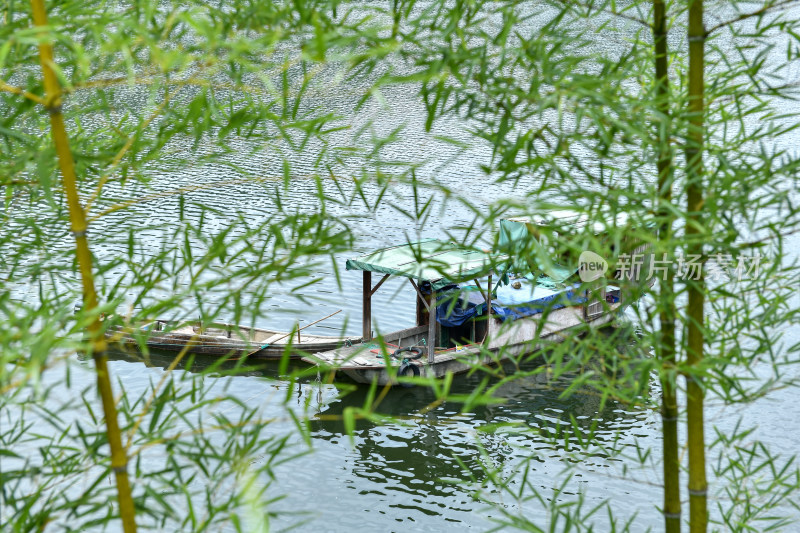 透过竹林看湖面上的船