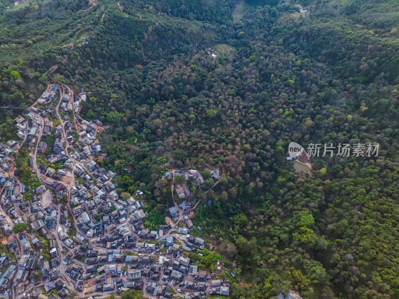 航拍被森林环绕的景迈山村庄全景