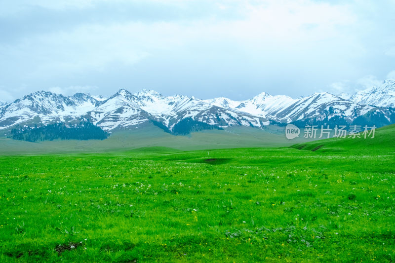 新疆伊犁那拉提雪山草原风光