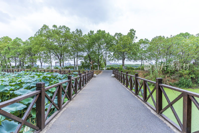 武汉江夏区藏龙岛国家湿地公园风景