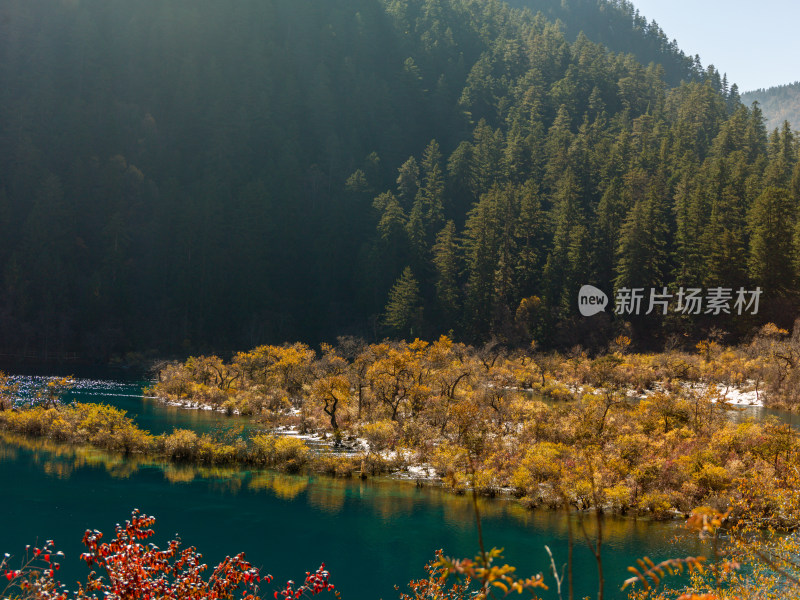 九寨沟秋景