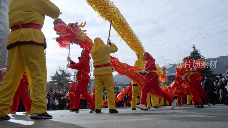 节日舞龙庆祝