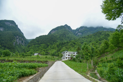 山间田园水泥路风景