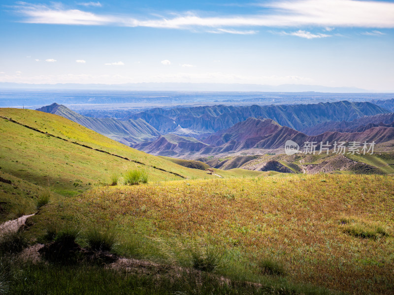 青海高山牧场