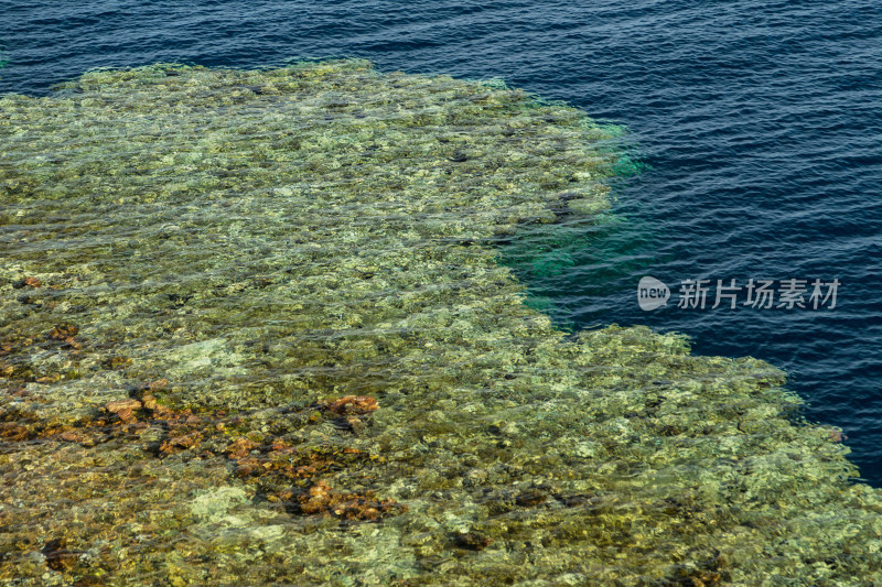 埃及达哈卜的红海