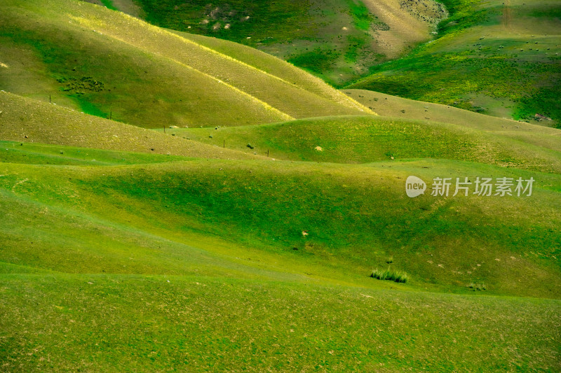 新疆伊犁喀拉峻草原牧场