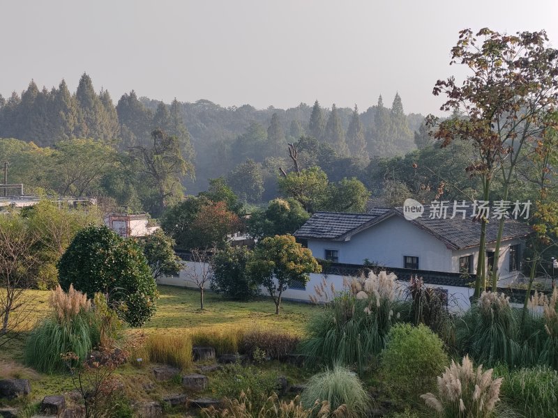 植物园景观