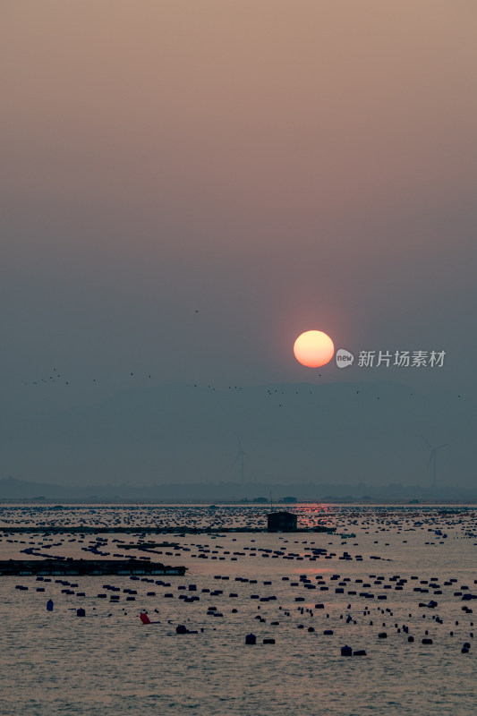 东山岛城市风光 海边