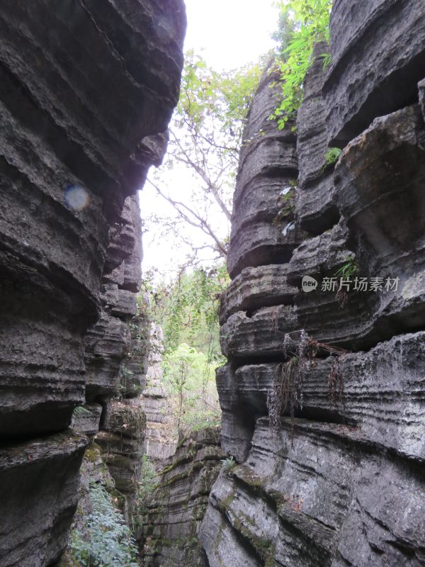 湖北恩施梭布垭石林旅游风光