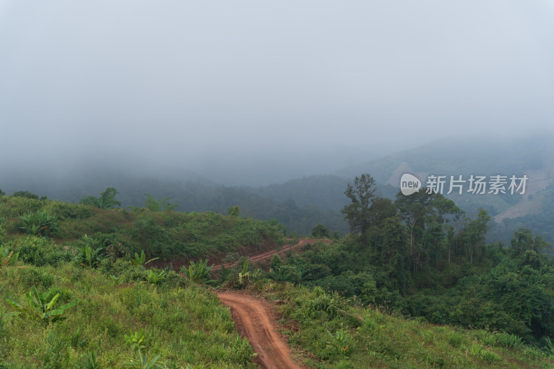 山间雾色中的蜿蜒小路