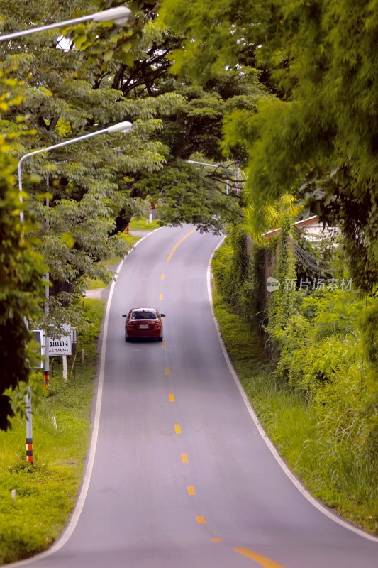 绿树环绕公路上行驶的红色汽车