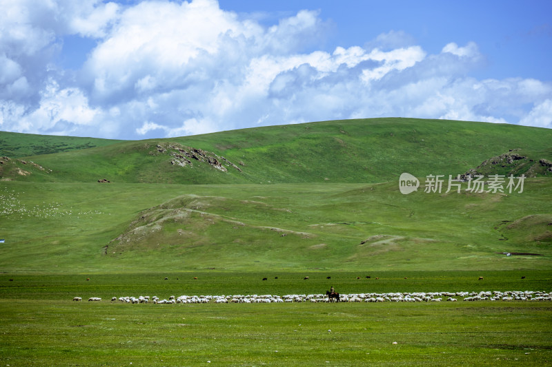 独库公路的草原