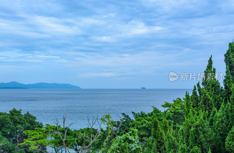 深圳盐田背仔角海滨公园树林海景自然风光